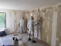 Biohazard Mold Removal in Daytona Beach Shores, FL